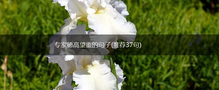 专家德高望重的句子(推荐37句),第1张