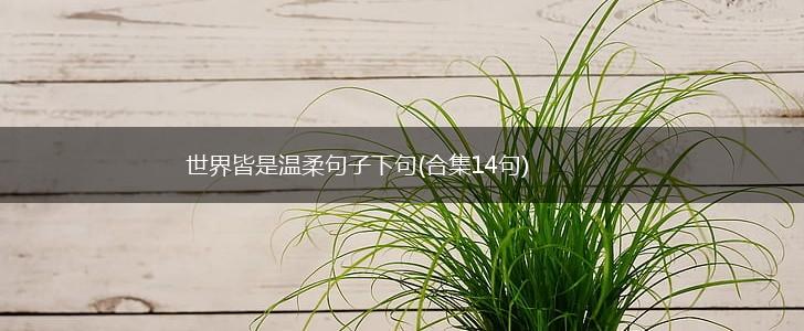 世界皆是温柔句子下句(合集14句),第1张