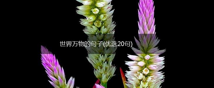 世界万物的句子(优选20句),第1张