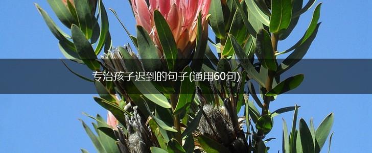 专治孩子迟到的句子(通用60句),第1张