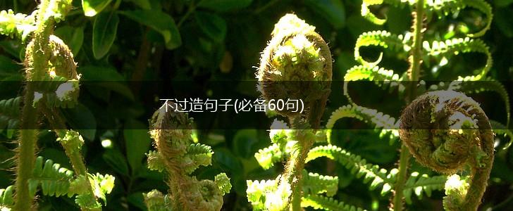 不过造句子(必备60句),第1张