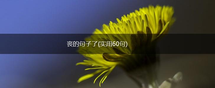 丧的句子了(实用60句),第1张