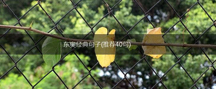 东奥经典句子(推荐40句),第1张