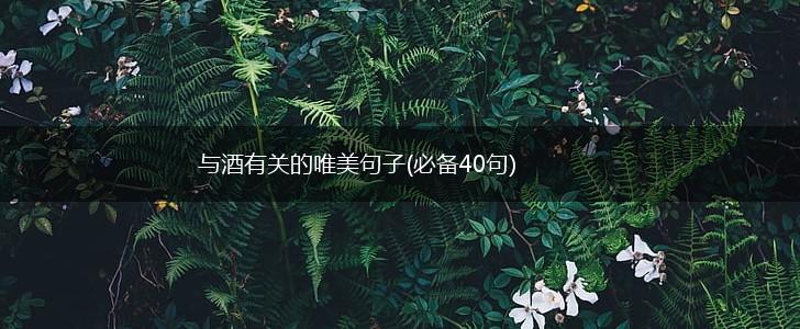 与酒有关的唯美句子(必备40句),第1张