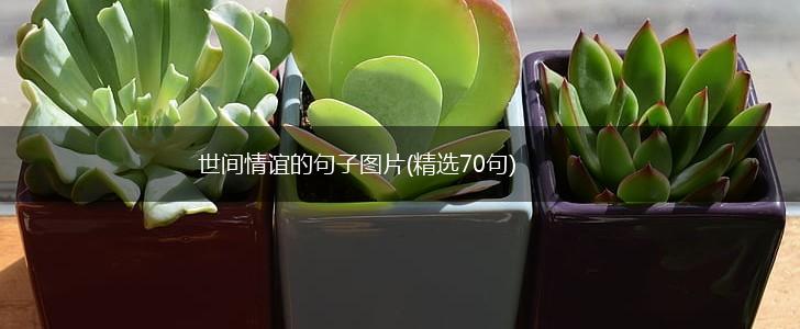世间情谊的句子图片(精选70句),第1张