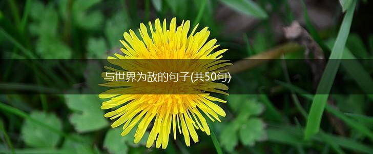 与世界为敌的句子(共50句),第1张