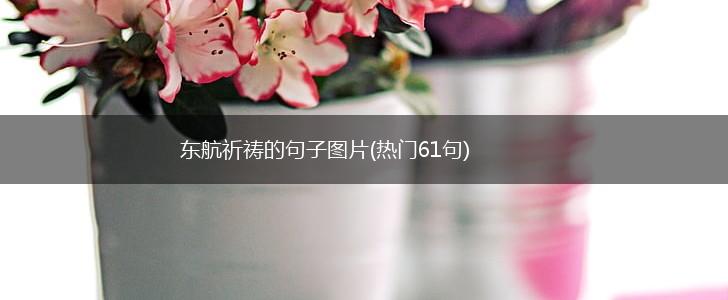 东航祈祷的句子图片(热门61句),第1张