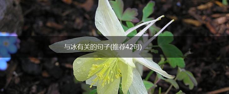与冰有关的句子(推荐42句),第1张