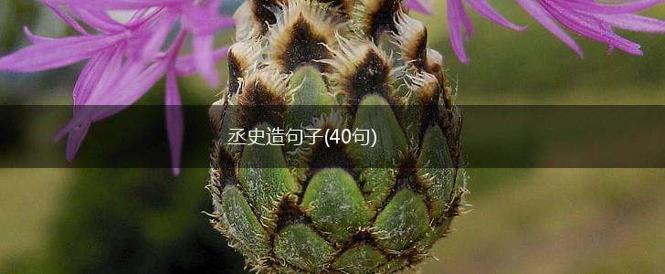 丞史造句子(40句),第1张