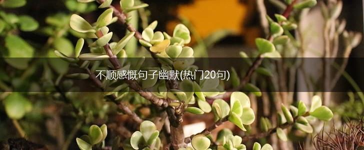不顺感慨句子幽默(热门20句),第1张