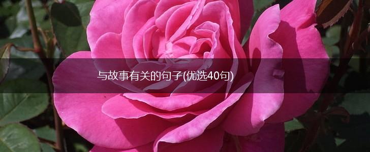 与故事有关的句子(优选40句),第1张