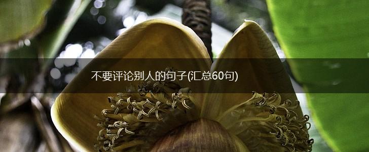 不要评论别人的句子(汇总60句),第1张