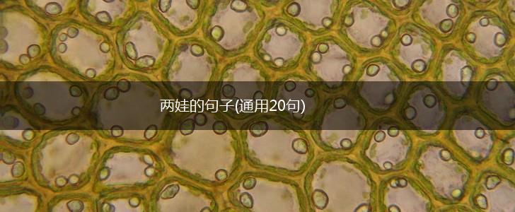 两娃的句子(通用20句),第1张