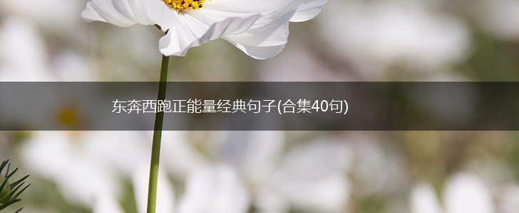 东奔西跑正能量经典句子(合集40句),第1张