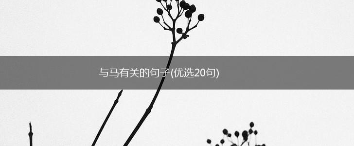 与马有关的句子(优选20句),第1张