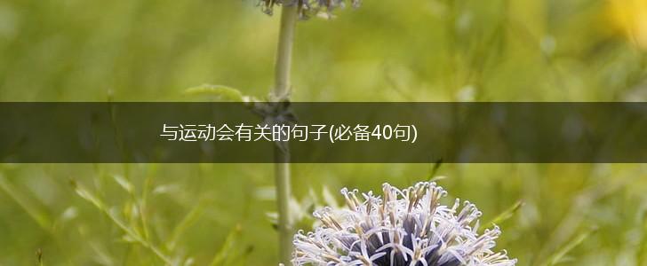 与运动会有关的句子(必备40句),第1张
