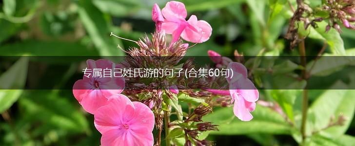 专属自己姓氏游的句子(合集60句),第1张