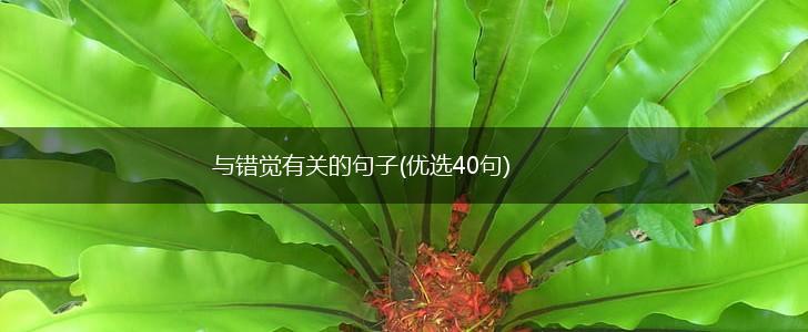 与错觉有关的句子(优选40句),第1张
