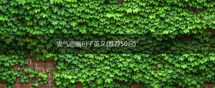 丧气悲痛句子英文(推荐50句),第1张