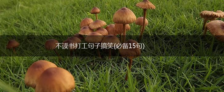 不读书打工句子搞笑(必备15句),第1张