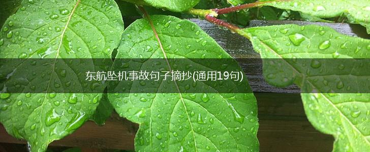 东航坠机事故句子摘抄(通用19句),第1张
