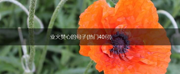 业火焚心的句子(热门40句),第1张
