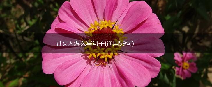 丑女人怎么写句子(通用59句),第1张