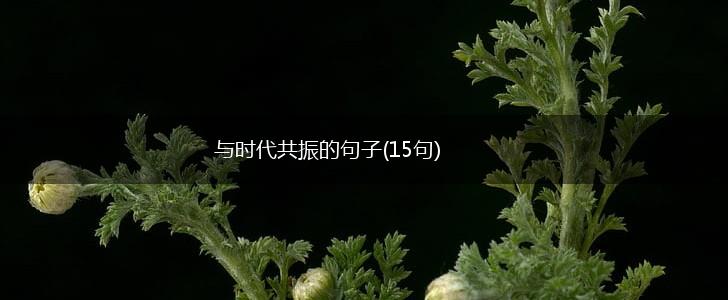 与时代共振的句子(15句),第1张