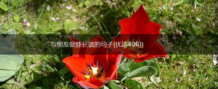 与朋友促膝长谈的句子(优选40句),第1张