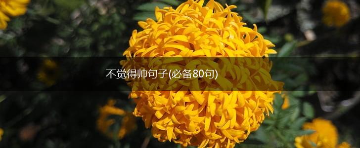 不觉得帅句子(必备80句),第1张