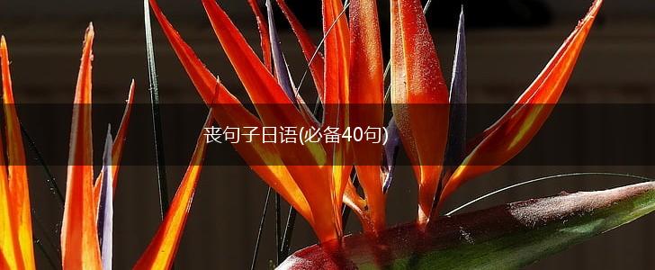 丧句子日语(必备40句),第1张