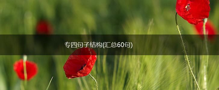 专四句子结构(汇总60句),第1张