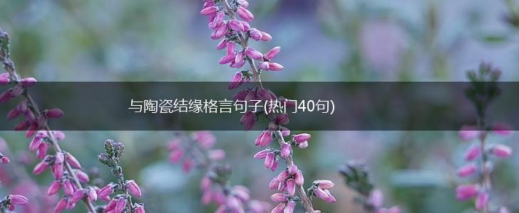 与陶瓷结缘格言句子(热门40句),第1张