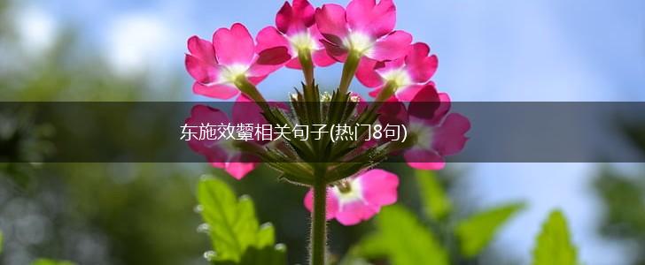 东施效颦相关句子(热门8句),第1张