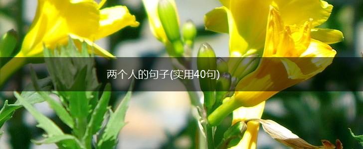 两个人的句子(实用40句),第1张