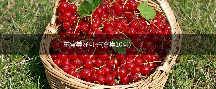 东营美好句子(合集10句),第1张