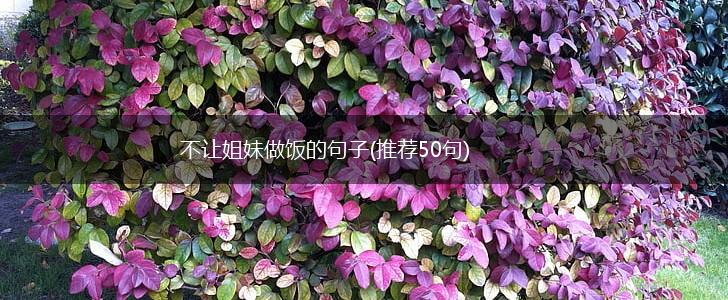 不让姐妹做饭的句子(推荐50句),第1张