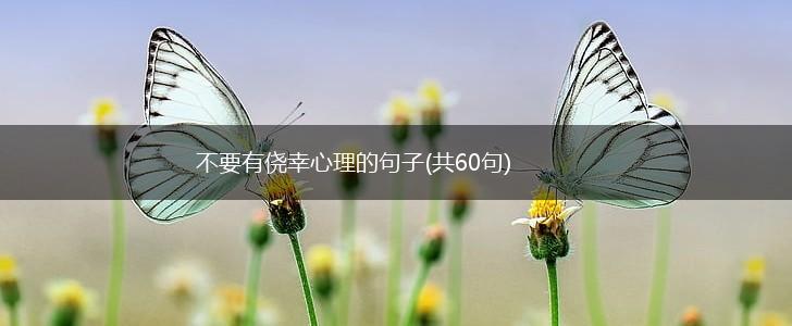不要有侥幸心理的句子(共60句),第1张