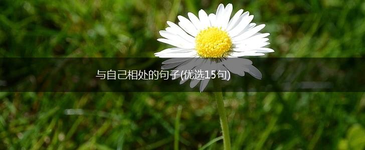 与自己相处的句子(优选15句),第1张