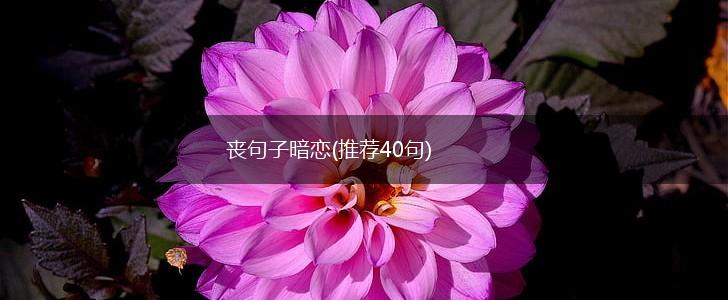 丧句子暗恋(推荐40句),第1张