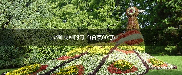 与老师离别的句子(合集60句),第1张