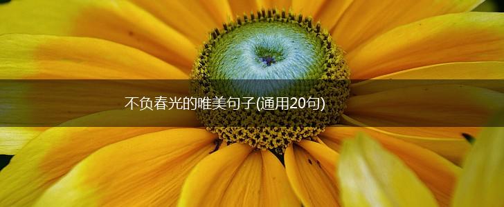 不负春光的唯美句子(通用20句),第1张