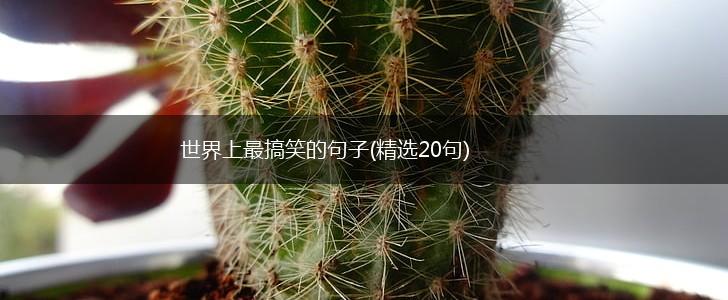 世界上最搞笑的句子(精选20句),第1张