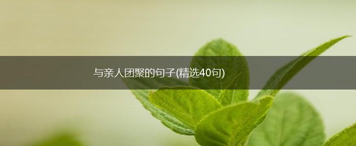 与亲人团聚的句子(精选40句),第1张
