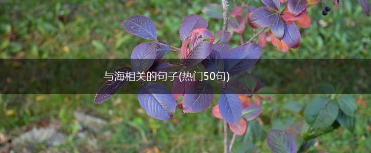 与海相关的句子(热门50句),第1张