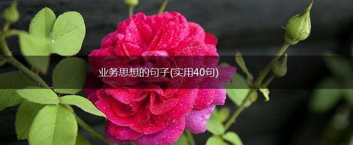 业务思想的句子(实用40句),第1张