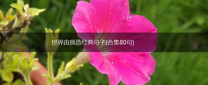世界由我造经典句子(合集80句),第1张
