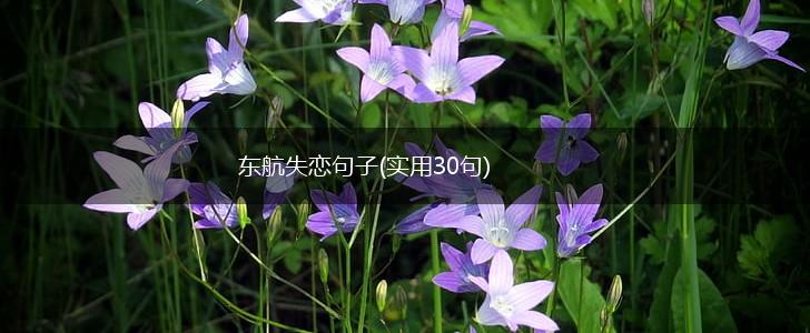 东航失恋句子(实用30句),第1张