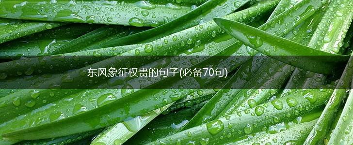 东风象征权贵的句子(必备70句),第1张