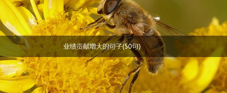业绩贡献增大的句子(50句),第1张